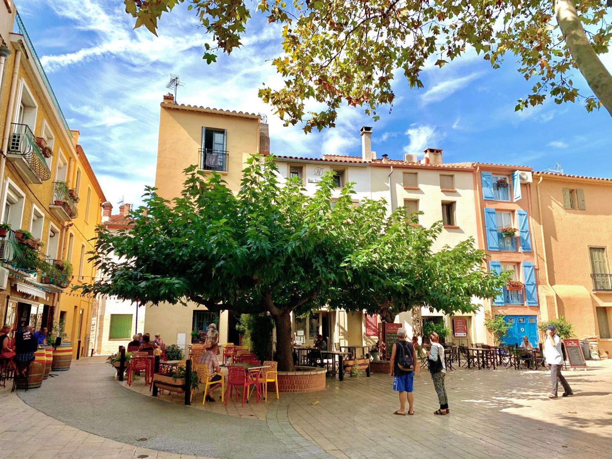Maison De Flo Centre Historique Argeles Sur Mer Dış mekan fotoğraf